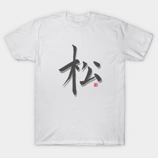 Song Surname T-Shirt